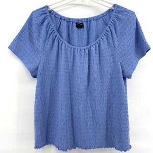 Lane Bryant Plus Size Blue Textured Square Neck Dolman Sleeve Top 22/24 3X